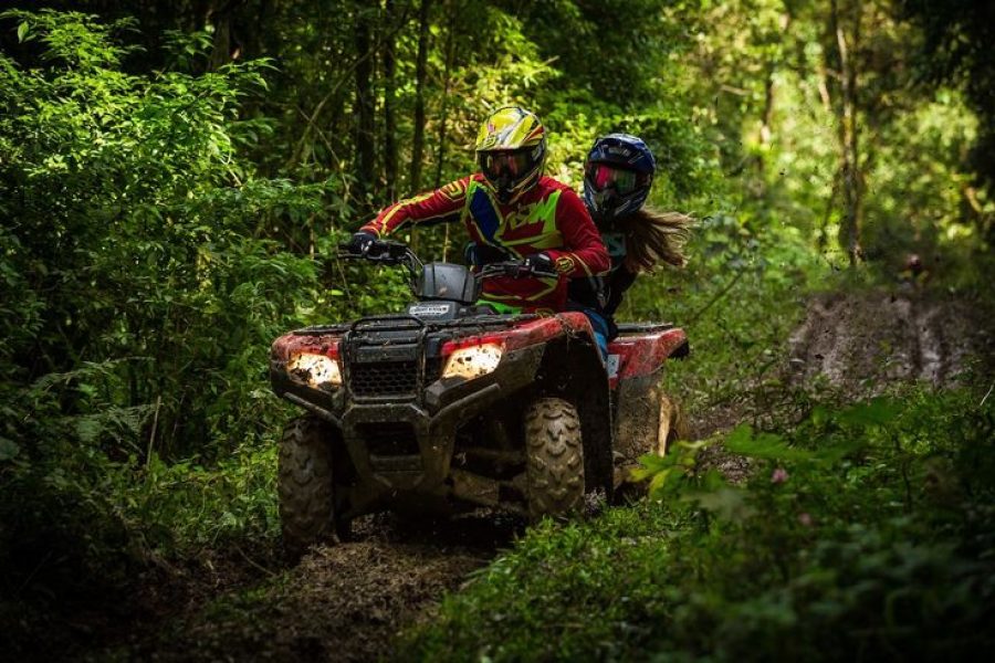 Quad à la Palmeraie