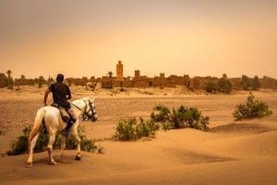 Balade à cheval à la Palmeraie