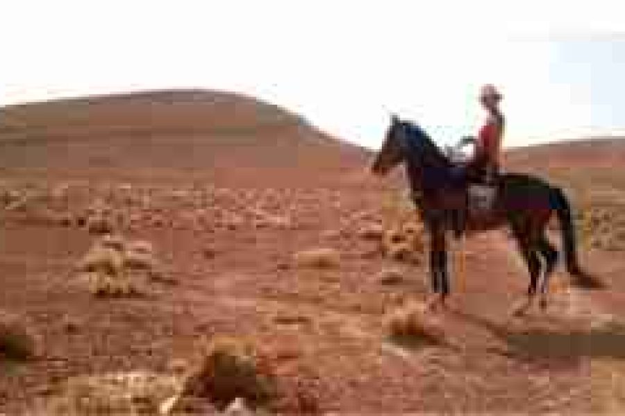 Balade à cheval à Agafay