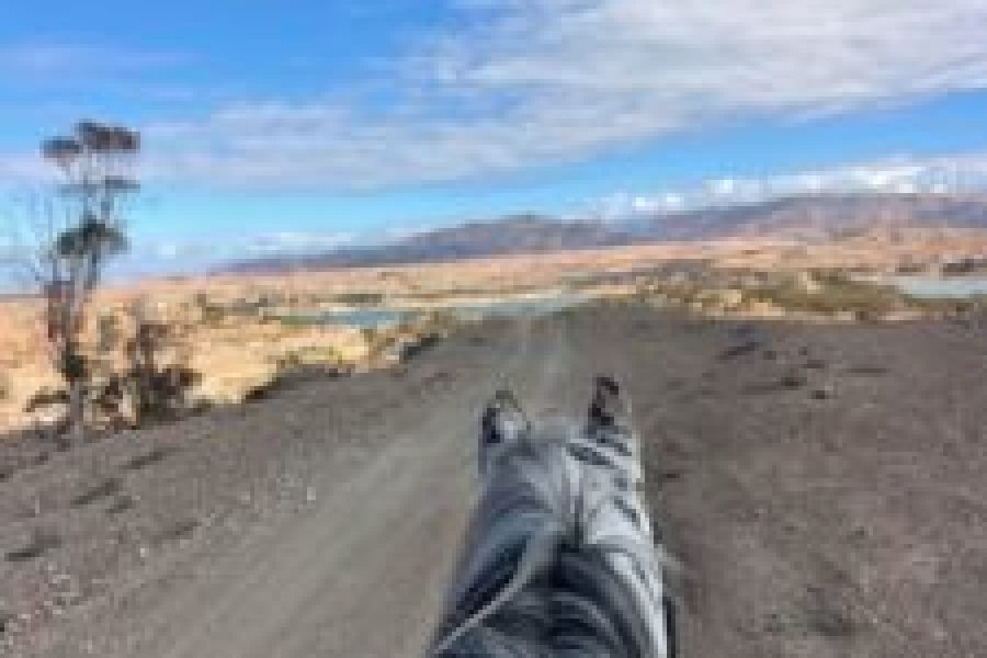 Balade à cheval au Lac Lalla Takerkoust